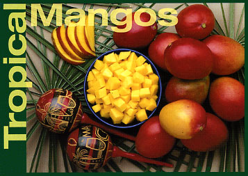 Mango Recipe Card, Front